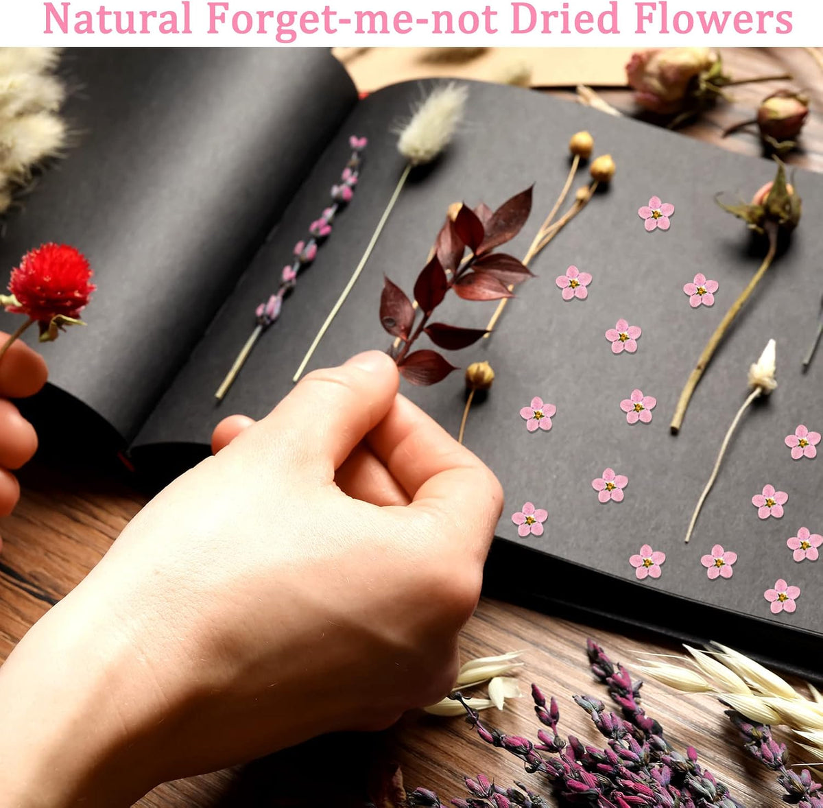 100 Pcs Natural Dried Forget Me Not Flowers Don't Forget Me Real Dried Pressed Flowers for Jewelry Candle Card Making DIY Resin Ornaments Nail Art Decorations(Pink)
