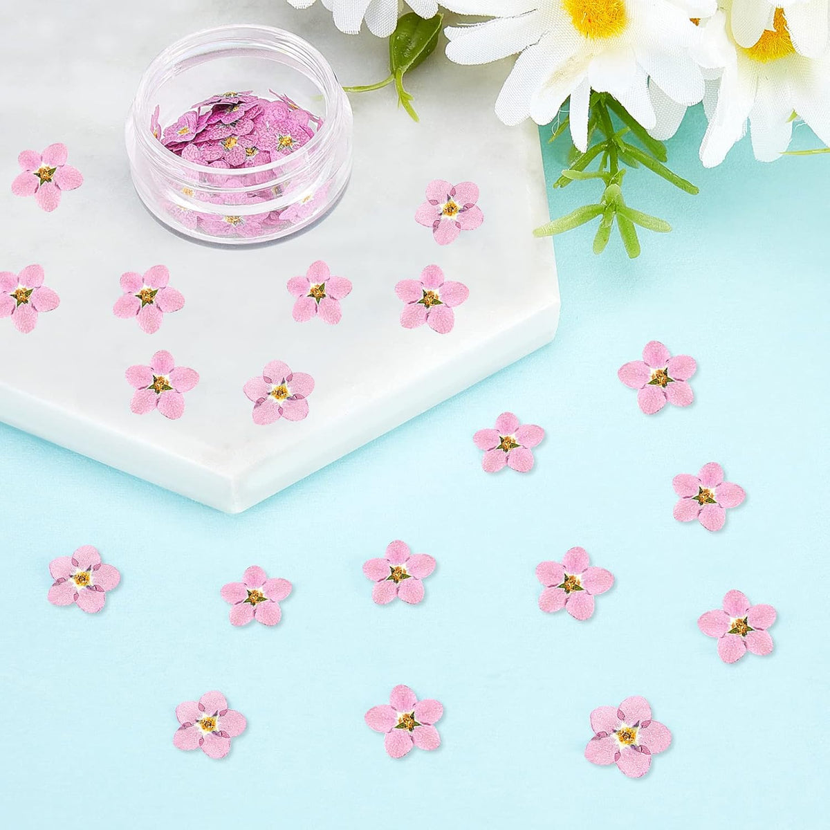 100 Pcs Natural Dried Forget Me Not Flowers Don't Forget Me Real Dried Pressed Flowers for Jewelry Candle Card Making DIY Resin Ornaments Nail Art Decorations(Pink)