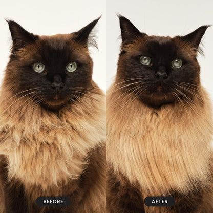 Pet Teezer Cat Brush for De-Shedding Short to Medium Fur, Millennial Pink