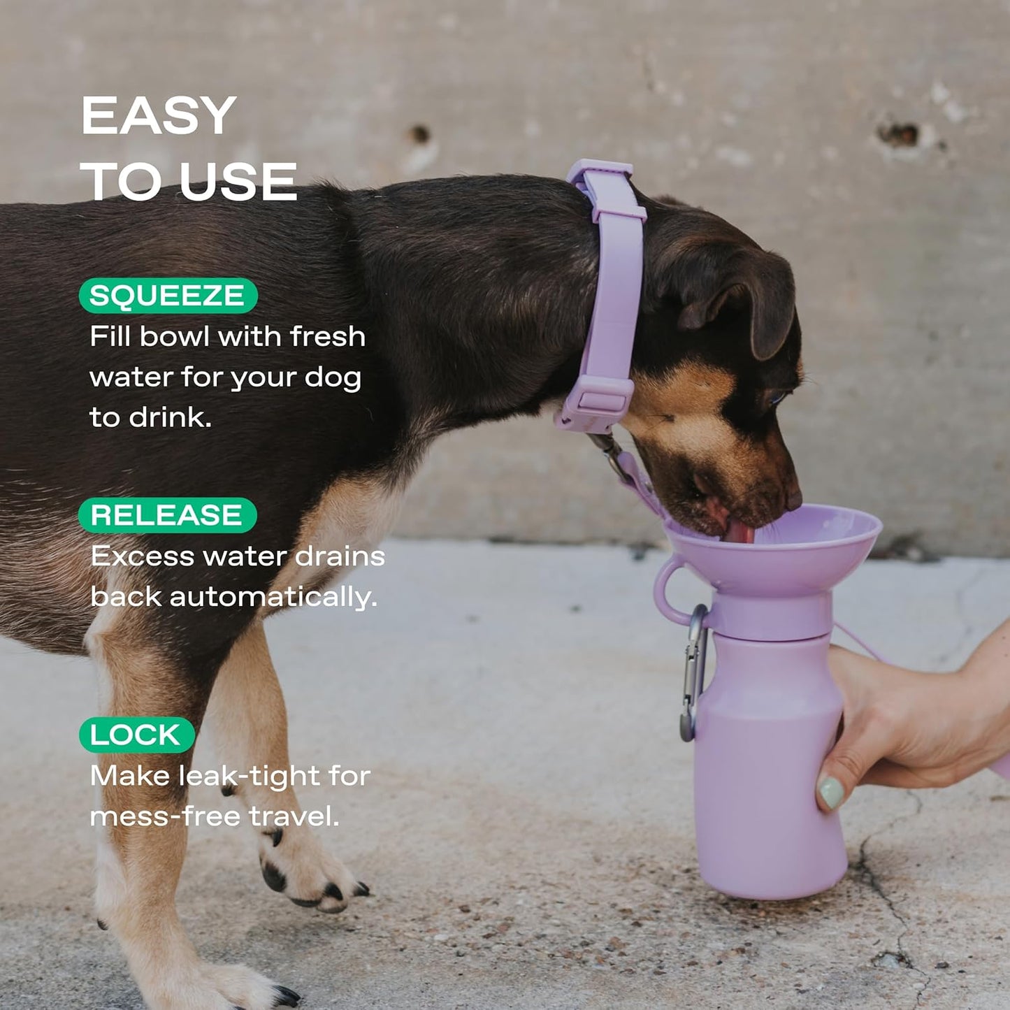 Springer by Springland 15oz Mini Dog Travel Water Bottle, Lilac, Portable Dispenser for Dogs & Puppies, Patented Leak-Proof Bowl, BPA-Free, One-Hand Squeeze, Carabiner Included | Shark Tank