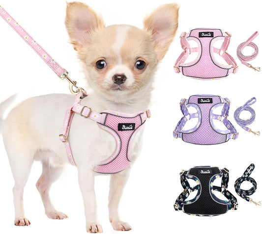 Lukovee No Pull Puppy Harness and Leash Set - Adjustable Lightweight Soft Dog Harness, Reflective Step in Breathable Mesh Vest with 51in Leash for Walking Hiking Small Medium Dogs (Pink, XXS)