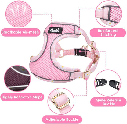 Lukovee No Pull Puppy Harness and Leash Set - Adjustable Lightweight Soft Dog Harness, Reflective Step in Breathable Mesh Vest with 51in Leash for Walking Hiking Small Medium Dogs (Pink, XXS)