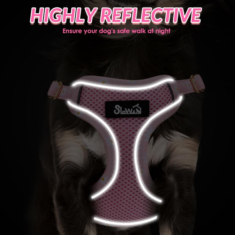 Lukovee No Pull Puppy Harness and Leash Set - Adjustable Lightweight Soft Dog Harness, Reflective Step in Breathable Mesh Vest with 51in Leash for Walking Hiking Small Medium Dogs (Pink, XXS)