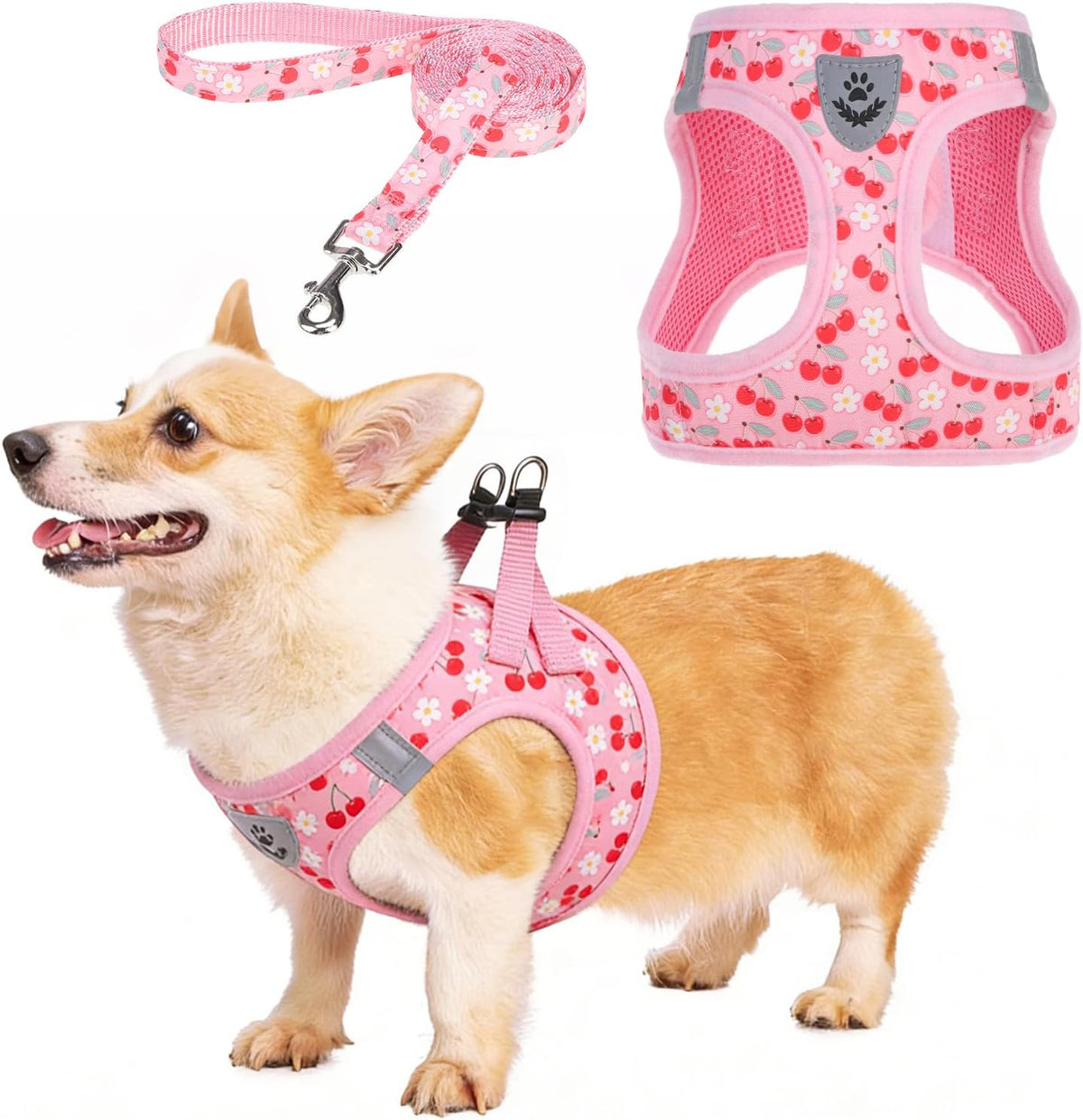 Dog Harness for Small Medium Dogs,Dog Harness and Leash Set, Step in No Pull Soft Mesh Padded Adjustable and Reflective Pet Vest Harness Puppy, Plaid Extra Harness for XS S Dogs,Pink Cherry,M