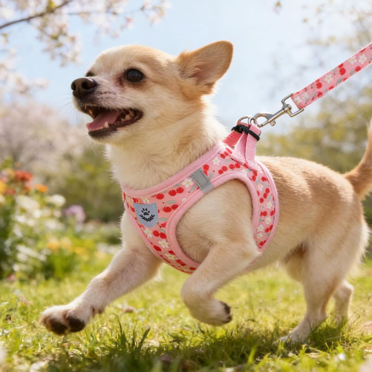 Dog Harness for Small Medium Dogs,Dog Harness and Leash Set, Step in No Pull Soft Mesh Padded Adjustable and Reflective Pet Vest Harness Puppy, Plaid Extra Harness for XS S Dogs,Pink Cherry,M