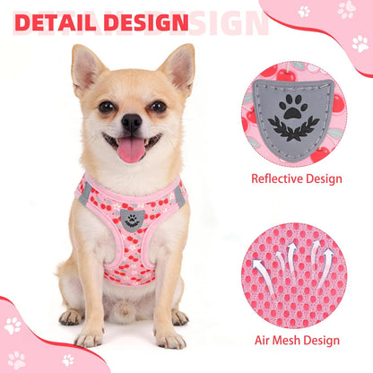 Dog Harness for Small Medium Dogs,Dog Harness and Leash Set, Step in No Pull Soft Mesh Padded Adjustable and Reflective Pet Vest Harness Puppy, Plaid Extra Harness for XS S Dogs,Pink Cherry,M