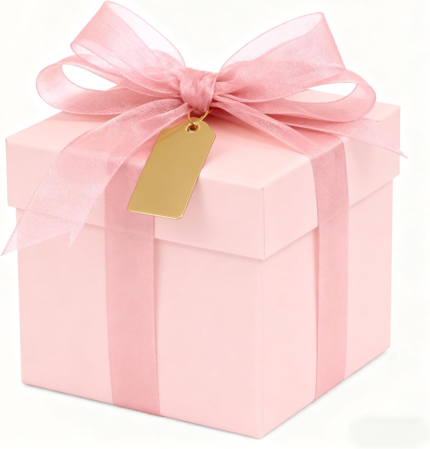 Light Pink Chiffon & Organza Ribbons Pink Ribbons 1 Inch Sheer Ribbon Organza 50 Yards Tulle for Gift Wrapping Halloween Christmas Ribbon for Crafts Flower Bouquet Hair Bows Wedding Champagne-Pink
