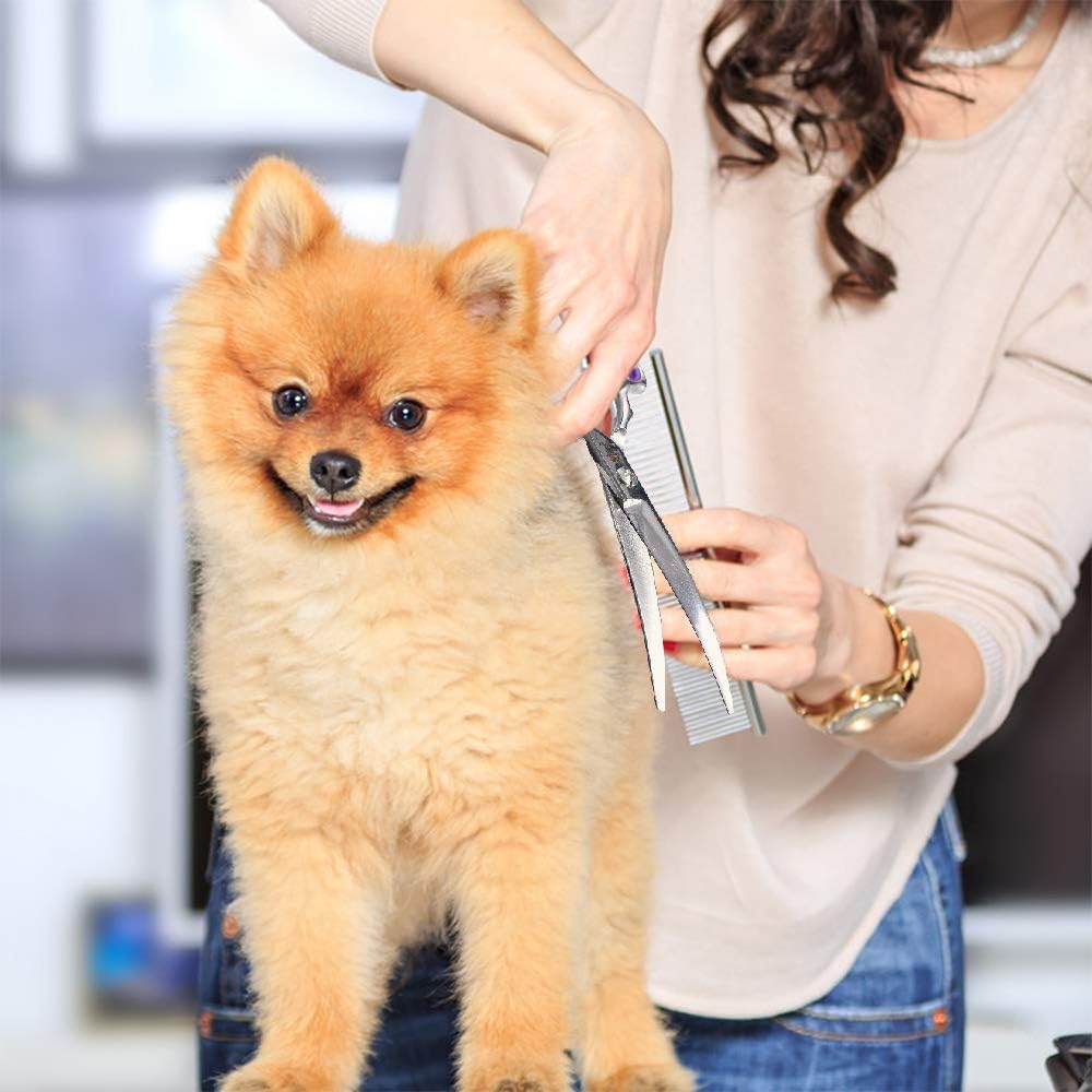 Dream Reach Dog Grooming Scissors - 6.5" Professional Sharp Downword Curved Shears with Ergonomic Handle for Cats Dogs