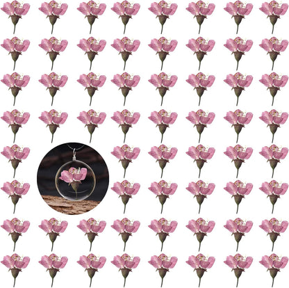 Dried Pressed Cherry Blossoms, 60PCS Pink Real Natural Dried Flowers for Resin DIY Ornament Crafts Candle Making, Natural Color