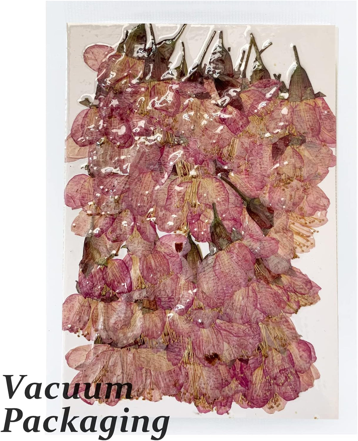 Dried Pressed Cherry Blossoms, 60PCS Pink Real Natural Dried Flowers for Resin DIY Ornament Crafts Candle Making, Natural Color