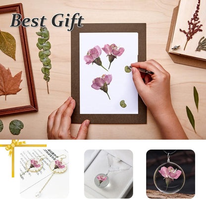 Dried Pressed Cherry Blossoms, 60PCS Pink Real Natural Dried Flowers for Resin DIY Ornament Crafts Candle Making, Natural Color