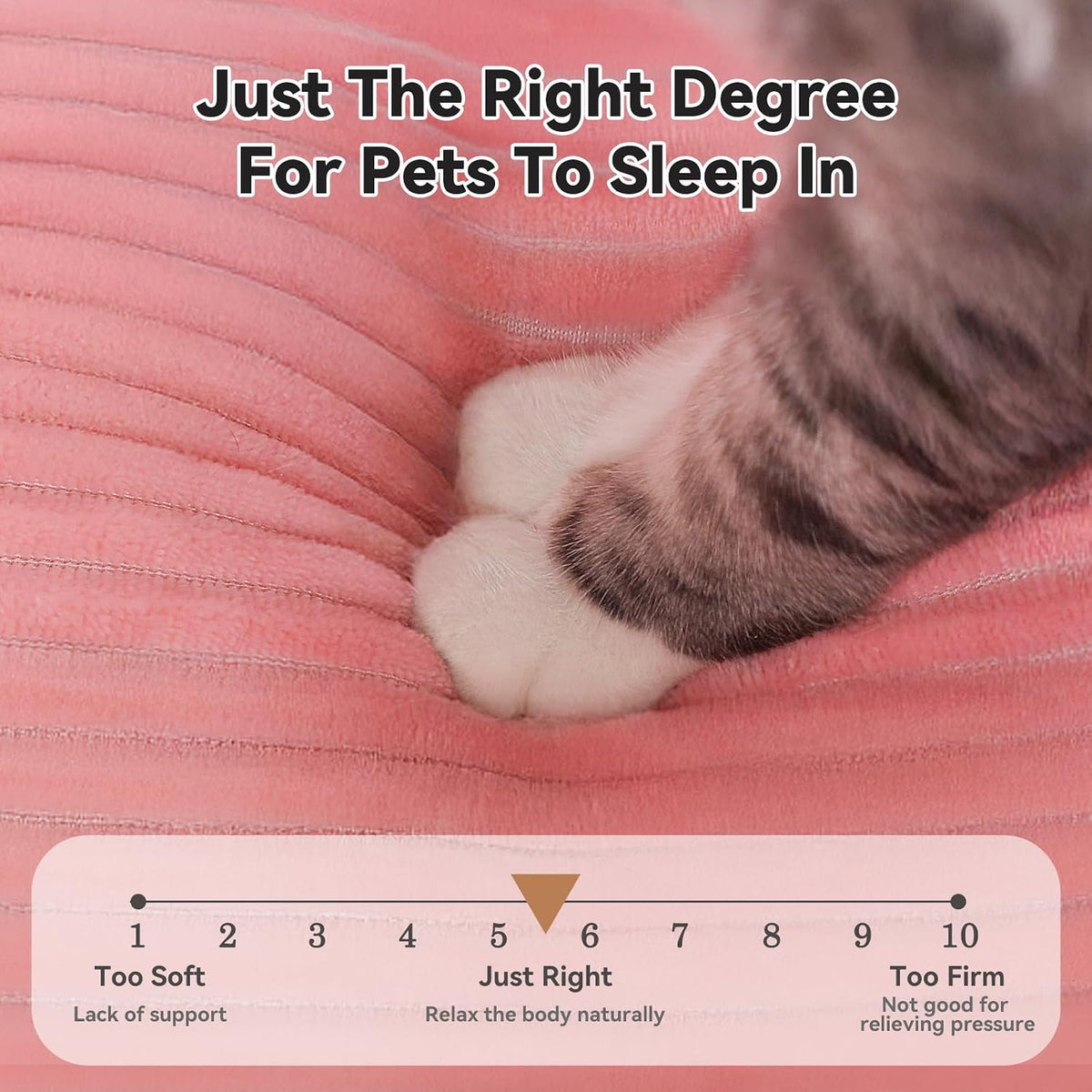 20in Pink Rectangle Cat Dog Bed Machine Washable Sleeping Sofa