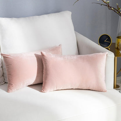 Pack of 2 Super Soft Throw Pillow Covers Rectangle Solid Velvet Pillowcase for Bed Couch Sofa Bench, 12 x 20 inch (30 x 50 cm), Pink