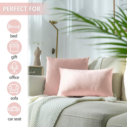 Pack of 2 Super Soft Throw Pillow Covers Rectangle Solid Velvet Pillowcase for Bed Couch Sofa Bench, 12 x 20 inch (30 x 50 cm), Pink