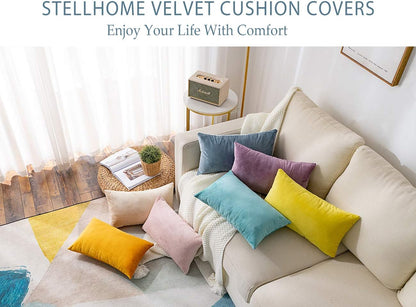 Pack of 2 Super Soft Throw Pillow Covers Rectangle Solid Velvet Pillowcase for Bed Couch Sofa Bench, 12 x 20 inch (30 x 50 cm), Pink