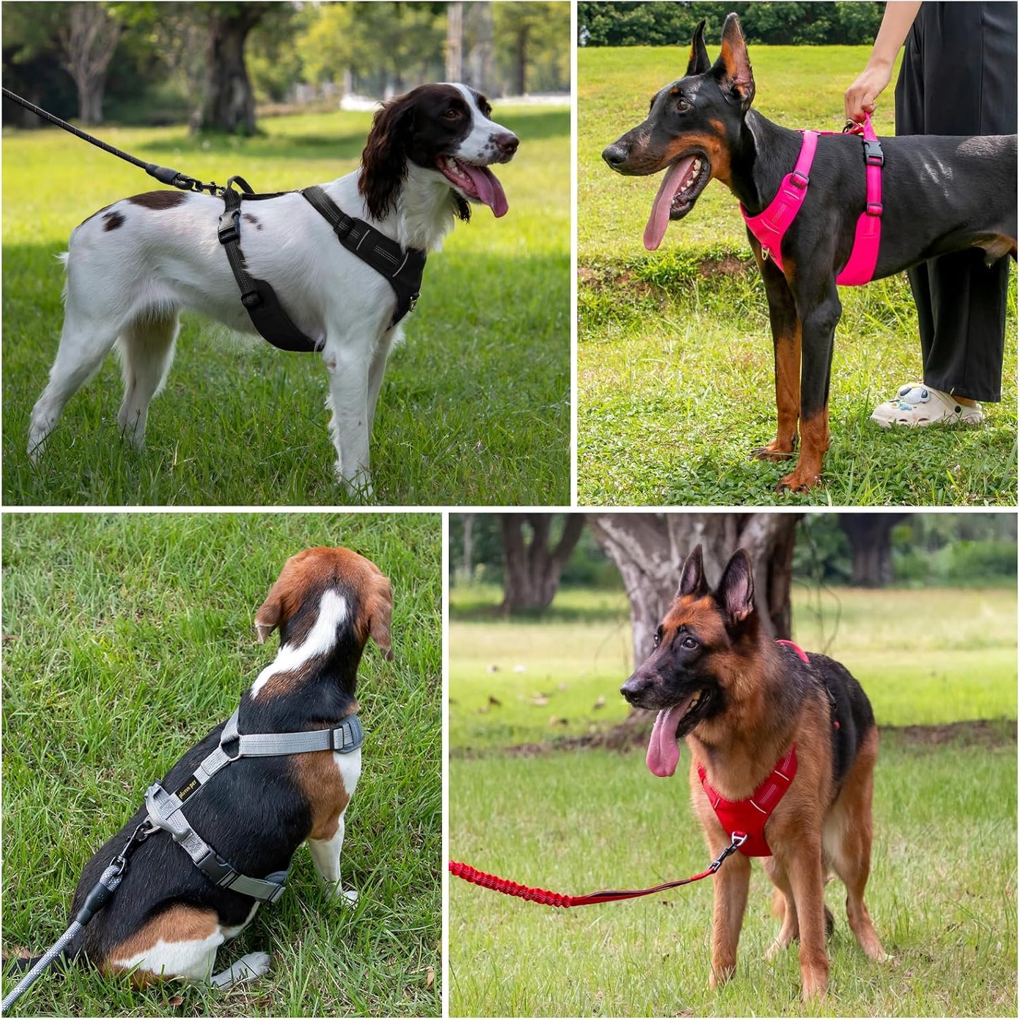 Plutus Pet No Pull Dog Harness, Reflective Adjustable Dog Vest Harness with Handle, Escape Proof, Soft Padded for Small Medium Large Dogs (Hot Pink, M)