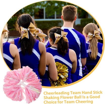 2pcs Cheerleader Pom Poms with Large Handle 6-inch Rainbow Matte Pink Sports Team Spirit Accessories for Dance Performances and Cheering