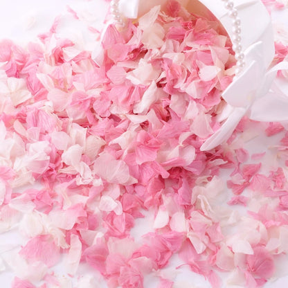 1500+ Real Dried Hydrangea Pink Flower Petals for Wedding Party Confetti