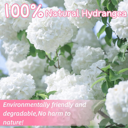1500+ Real Dried Hydrangea Pink Flower Petals for Wedding Party Confetti