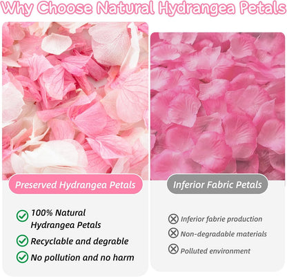 1500+ Real Dried Hydrangea Pink Flower Petals for Wedding Party Confetti