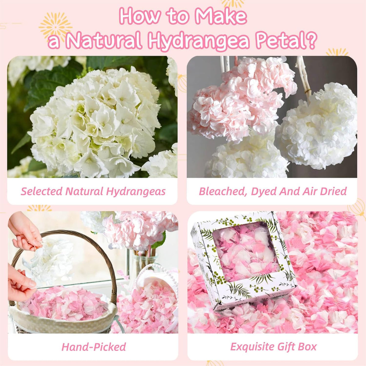 1500+ Real Dried Hydrangea Pink Flower Petals for Wedding Party Confetti