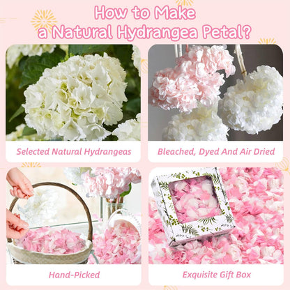 1500+ Real Dried Hydrangea Pink Flower Petals for Wedding Party Confetti