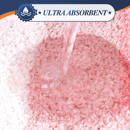 Bathroom Rug Non Slip Bath Mat (16 x 24, Ombre Pink) Water Absorbent Soft Microfiber Shaggy Mat Machine Washable Thick Plush Rug for Shower