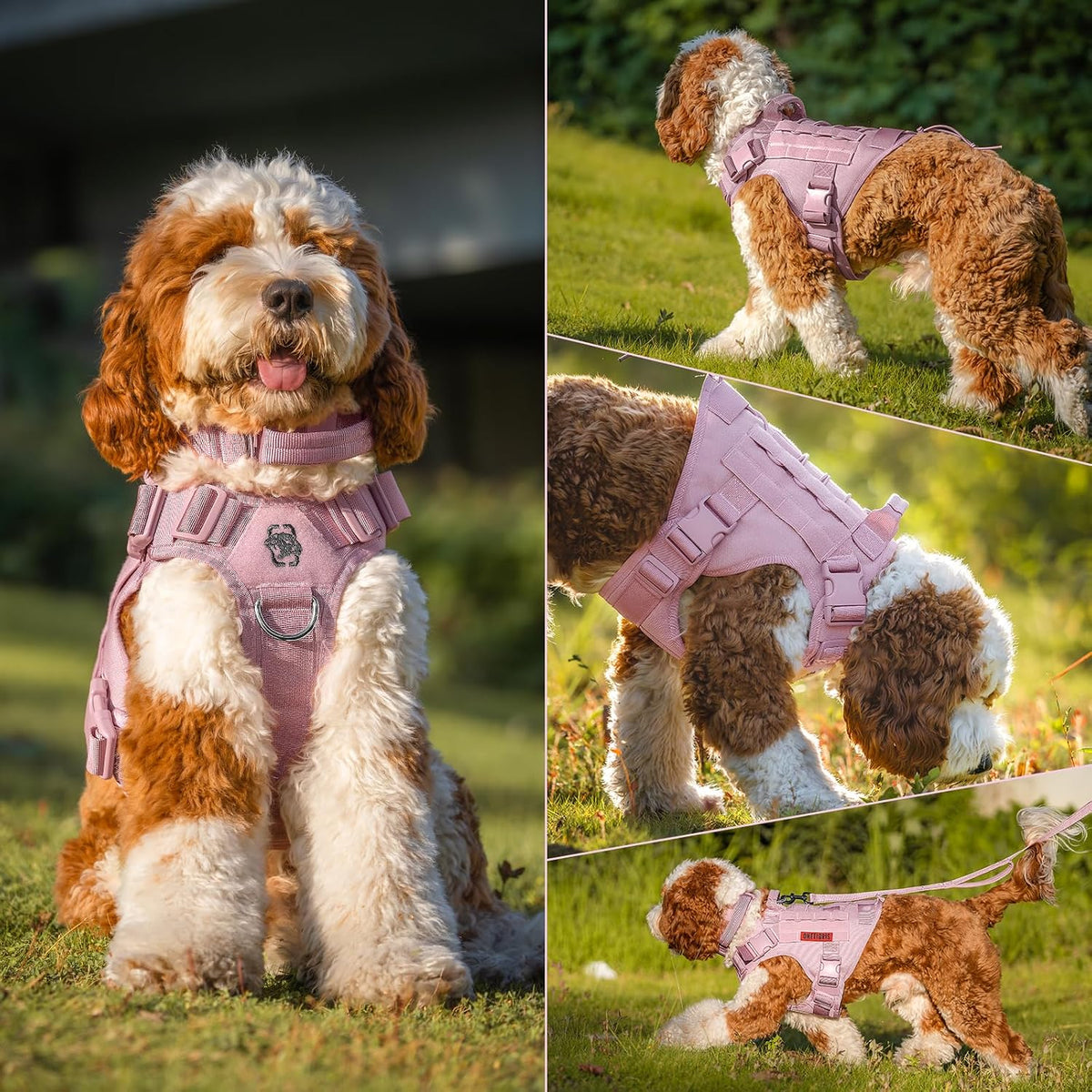 Tactical Dog Harness No-Pull Service Vest for Small Dogs