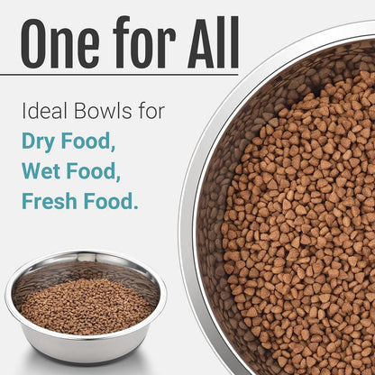 PEGGY11 Nonslip Stainless Steel Dog Cat Bowls, 2 US Cup, 2 Count