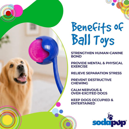 Glitter Ball – Soft Dog Ball Toy, Floating Fetch Ball and Treat Dispenser Made in USA from Non-Toxic Pet Safe Food Safe PUP-X Rubber for Bonding, Physical Exercise, & More