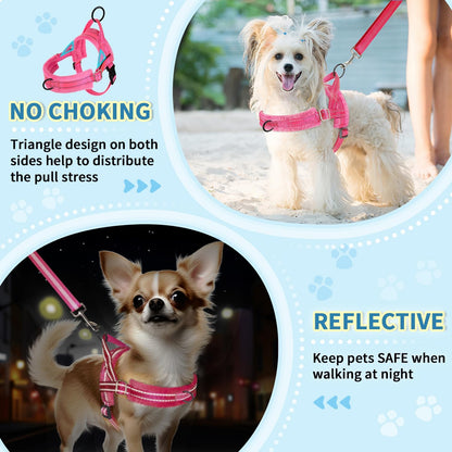 Lukovee No Pull Dog Harness and Leash Set, Soft Padded Small Dog Harness, Neck & Chest Adjustable Reflective Vest Puppy Harness with 4ft Lightweight Anti-Twist Dog Leash for Small Dogs (XS, Pink)