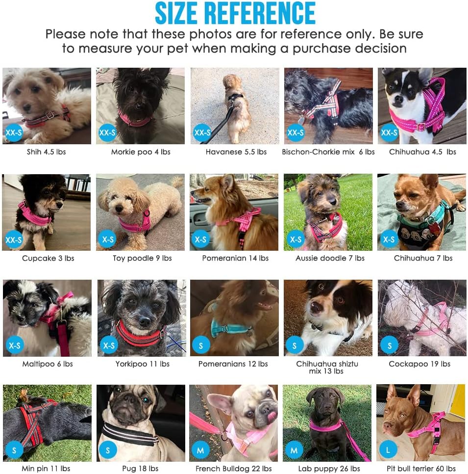 Lukovee No Pull Dog Harness and Leash Set, Soft Padded Small Dog Harness, Neck & Chest Adjustable Reflective Vest Puppy Harness with 4ft Lightweight Anti-Twist Dog Leash for Small Dogs (XS, Pink)