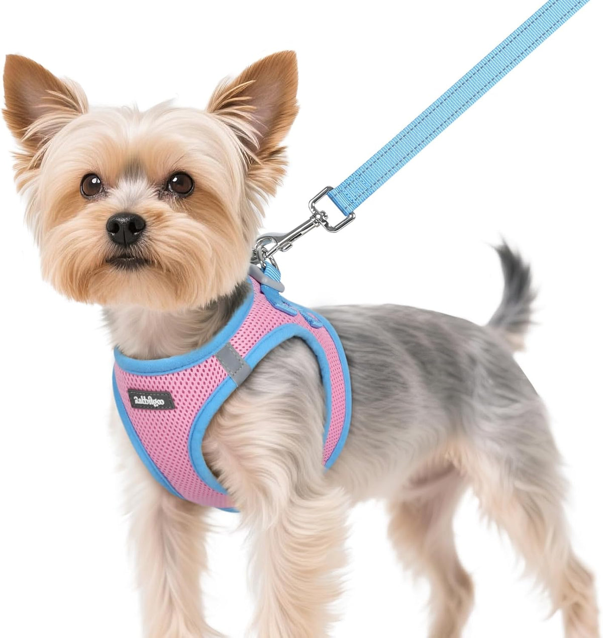 Dog Harness Small Sized and Leash Set, Step in Soft Vest