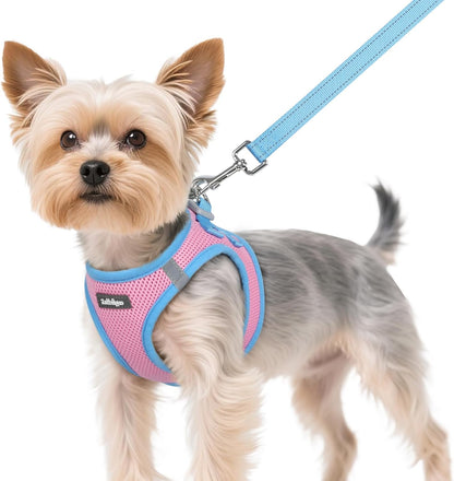 Dog Harness Small Sized and Leash Set, Step in Soft Vest