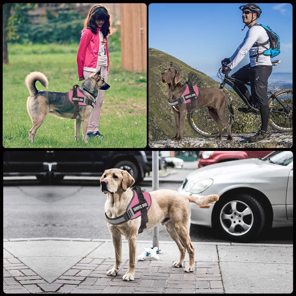 Dog Harness,No-Pull Service Dog Harness with Handle Adjustable Outdoor Pet Dog Vest 3M Reflective Nylon Material Vest for Breeds,Easy Control for Small Medium Large Dogs