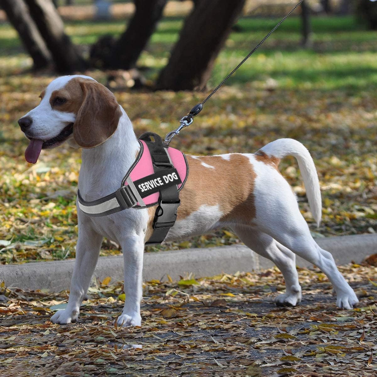 Dog Harness,No-Pull Service Dog Harness with Handle Adjustable Outdoor Pet Dog Vest 3M Reflective Nylon Material Vest for Breeds,Easy Control for Small Medium Large Dogs