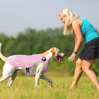 Dog Cooling Vest, Puppy Cooling Coat with UV Protection