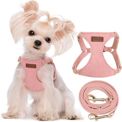 XXS Puppy Harness and Leash Set, Pink, XXS (2.2–6 lbs)