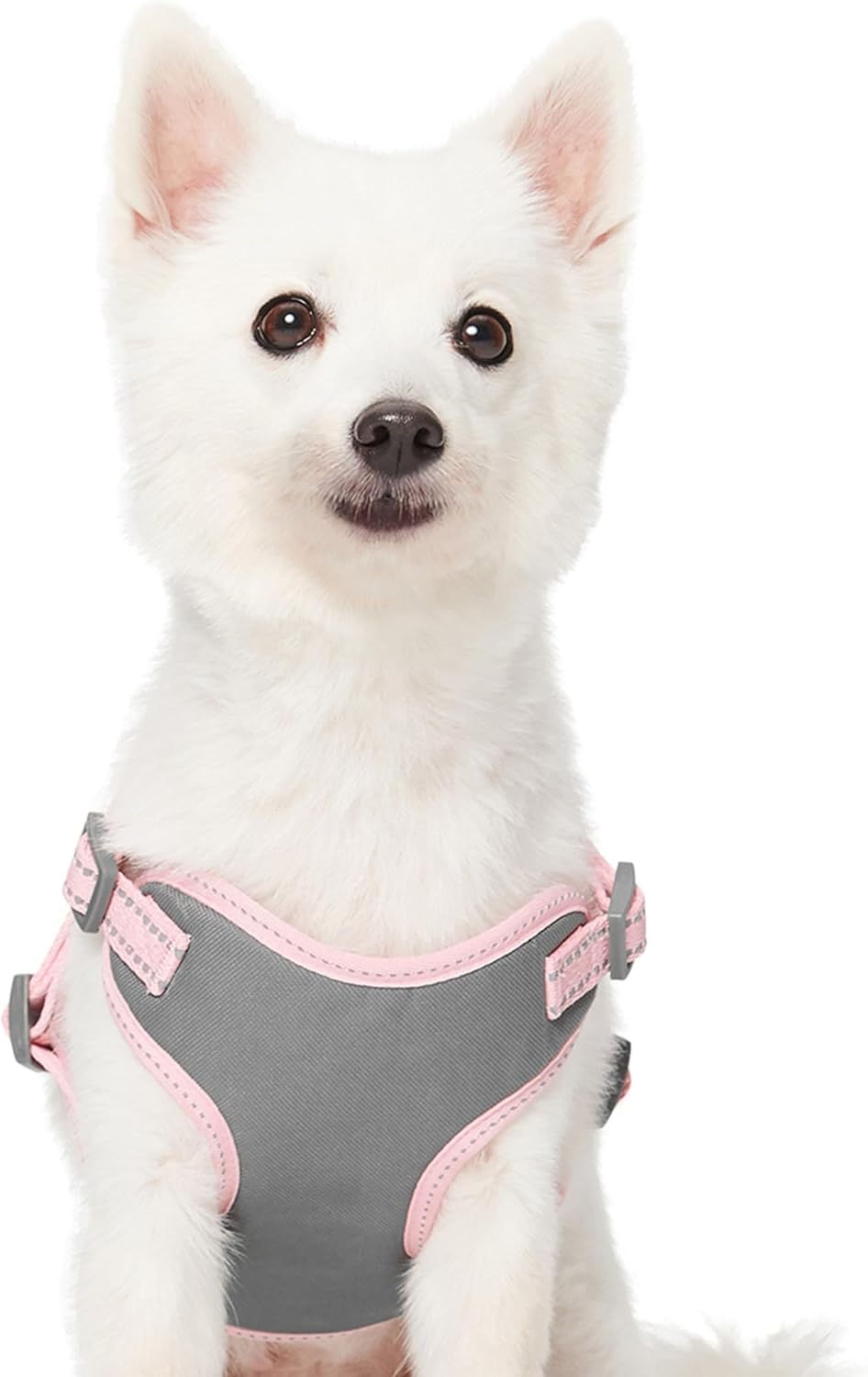 Pastel Colored Reflective Dog Harness with Seatbelt Clip – Adjustable No-Pull Pet Vest for Walking and Car Safety, Medium in Baby Pink