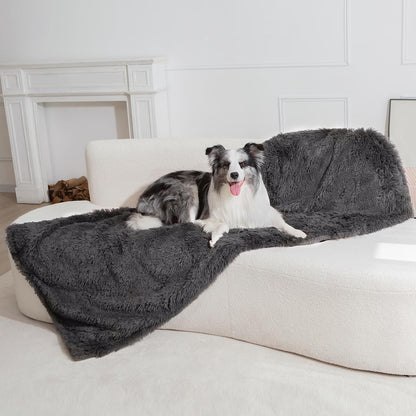 gogobunny Waterproof Dog Blanket for Couch & Furniture Protection - Super Soft Reversible Throw for Large Dogs & Cats, Calming Washable Fur & Sherpa Pet Blanket (50x60 Inch, Grey)