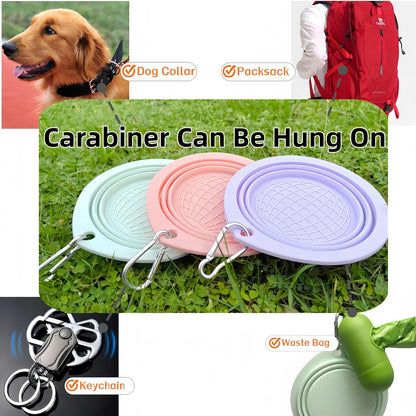 Portable Collapsible Pet Bowl - Food Grade TPR/Silicone, Foldable Dog Cat Travel Bowl with Carabiner for Hiking Camping, Easy Clean & Lightweight (Pink)