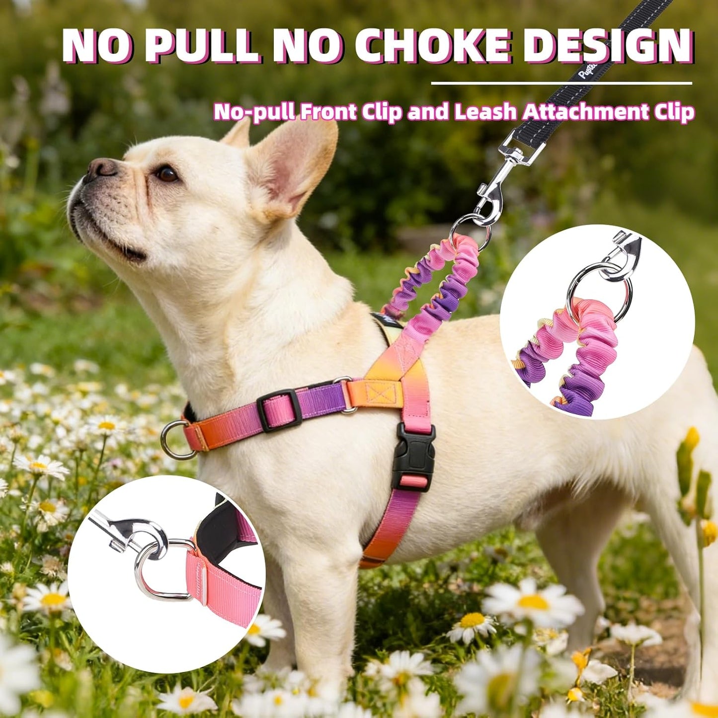 No Pull Dog Harness Small Sized Dog, Adjustable Reflective Pet Vest Harness with Bungee Handle, Escape Proof No Choke Harness for Small Dogs Walking Training, Pink & Purple L