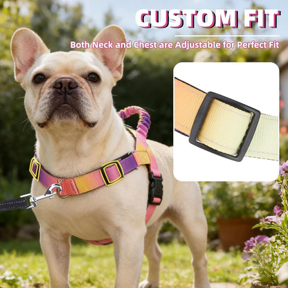 No Pull Dog Harness Small Sized Dog, Adjustable Reflective Pet Vest Harness with Bungee Handle, Escape Proof No Choke Harness for Small Dogs Walking Training, Pink & Purple L