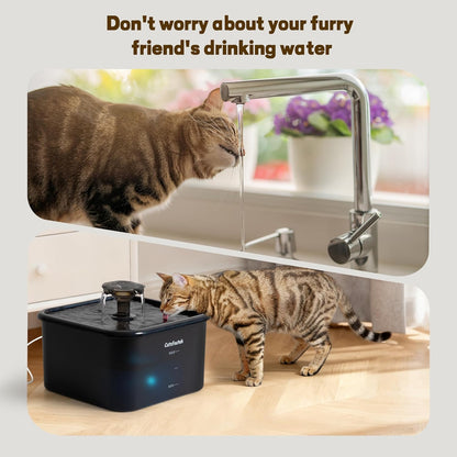 Pet Water Fountain, 74oz/2.2L Catsfoutek Water Fountain Cat for Drinking - Pet Fountain for Cats Inside - Quiet Automatic Cat Water Dispenser - Kitty Drinking Fountains - for Pets& Small Animals