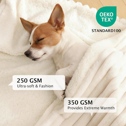 PuTian Waterproof Dog Blanket for Large Dogs Reversible Rabbit Velvet & Sherpa Fleece Cat Blanket for Couch Sofa Bed, 50''X60'' Off White