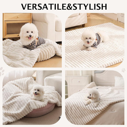 PuTian Waterproof Dog Blanket for Large Dogs Reversible Rabbit Velvet & Sherpa Fleece Cat Blanket for Couch Sofa Bed, 50''X60'' Off White