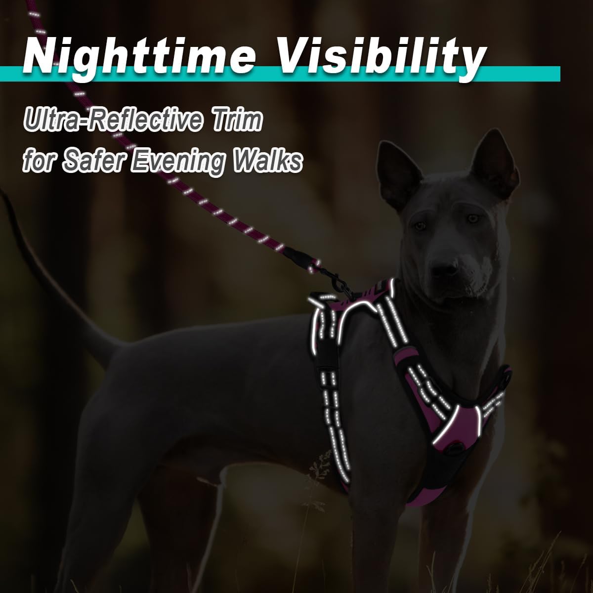 No Pull Pet Harness Dog Harness Adjustable Outdoor Pet Vest 3M Reflective Oxford Material Vest for PINK Dogs Easy Control for Small Medium Large Dogs (L)